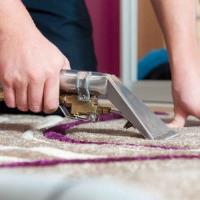 Squeaky Clean Rug and Carpet Cleaning Brighton image 3